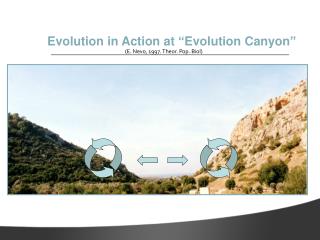 Evolution in Action at “Evolution Canyon”