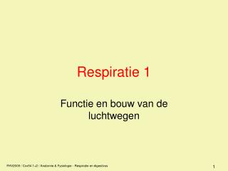 Respiratie 1