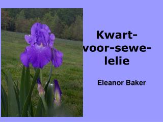 Kwart-voor-sewe-lelie