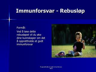 Immunforsvar - Rebusløp