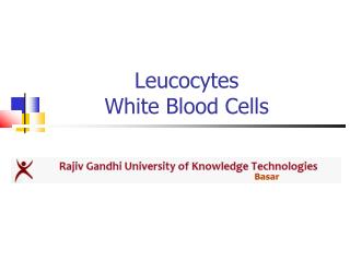 Leucocytes White Blood Cells