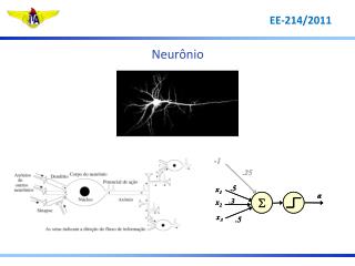 Neurônio