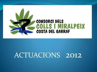 ACTUACIONS 2012