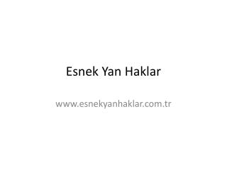 Esnek Yan Haklar