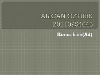 ALICAN OZTURK 20110954045