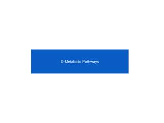 D-Metabolic Pathways