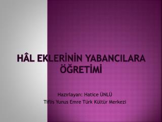 HÂL EKLERİNİN YABANCILARA ÖĞRETİMİ