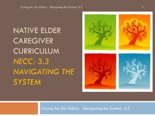 Native elder caregiver curriculum necc : 3.3 Navigating the system