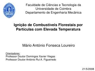 Ignição de Combustíveis Florestais por Partículas com Elevada Temperatura