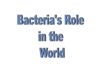 Bacteria's Role in the World