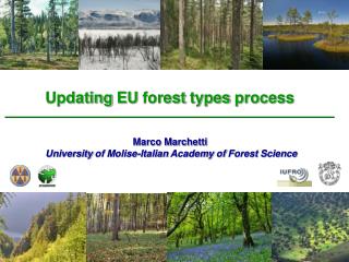 Updating EU forest types process