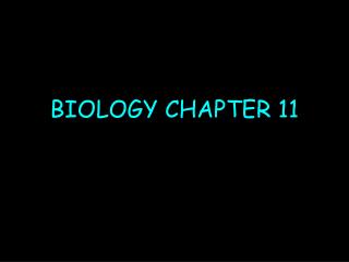BIOLOGY CHAPTER 11