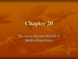 Chapter 20