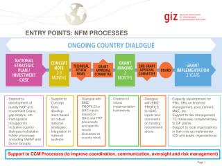 S upport to development of quality NSP and Investment Cases, gap analyis, etc.