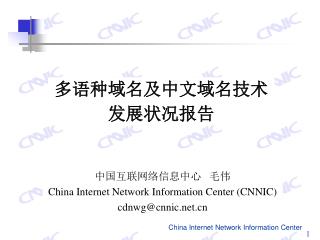 多语种域名及中文域名技术 发展状况报告