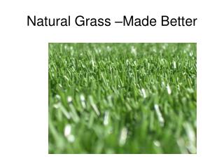 Natural Grass –Made Better