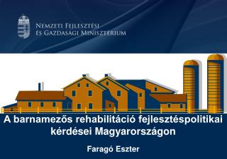 A barnamezős rehabilitáció fejlesztéspolitikai kérdései Magyarországon Faragó Eszter