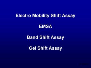 Electro Mobility Shift Assay EMSA Band Shift Assay Gel Shift Assay