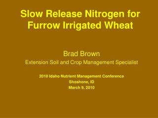 Slow Release Nitrogen for Furrow Irrigated Wheat