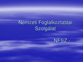 Nemzeti Foglalkoztatási Szolgálat 				NFSZ -