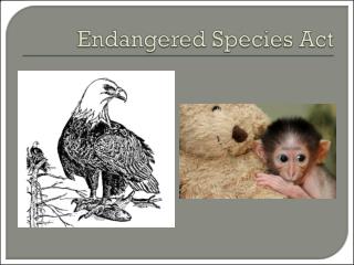 Endangered Species Act