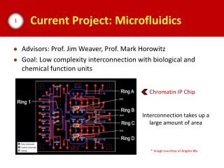 Current Project: Microfluidics