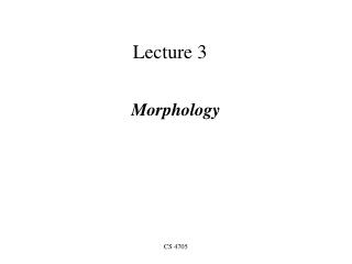 Lecture 3