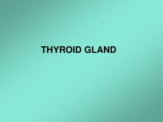 THYROID GLAND