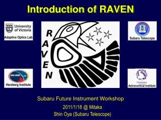 Introduction of RAVEN