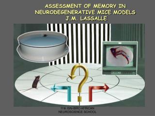 ASSESSMENT OF MEMORY IN NEURODEGENERATIVE MICE MODELS J.M. LASSALLE