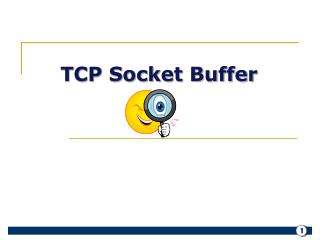 TCP Socket Buffer