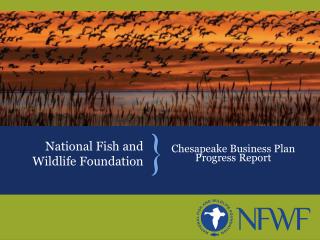 National Fish and Wildlife Foundation