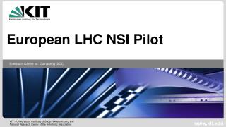 European LHC NSI Pilot