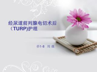 经尿道前列腺电切术后（ TURP) 护理 侨 1-8 周 薇