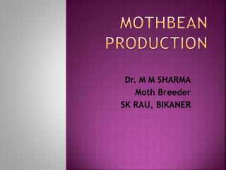 MOTHBEAN PRODUCTION
