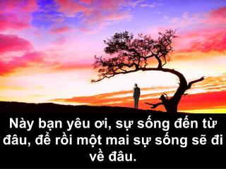 Này bạn yêu ơi, sự sống đến từ đâu, để rồi một mai sự sống sẽ đi về đâu.