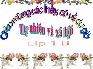 Chào mừng các thầy, cô về dự giờ