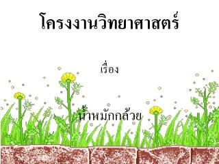 โครงงานวิทยาศาสตร์