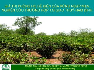 N ội dung b áo c á o