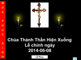 Chúa Thánh Thần Hiện Xuống Lễ chính ngày 2014-06-08