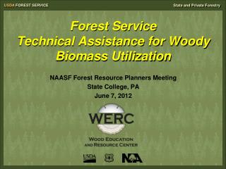 Forest Service Technical Assistance for Woody Biomass Utilization