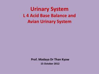 Urinary System L 4 Acid Base Balance and Avian Urinary System