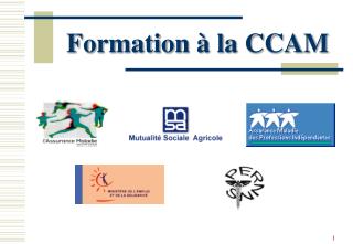 Formation à la CCAM