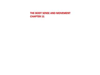 The Body Sense and Movement Chapter 11