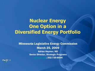 Nuclear Energy One Option in a Diversified Energy Portfolio