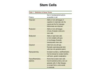 Stem Cells