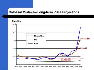 Colossal Mistake—Long-term Price Projections