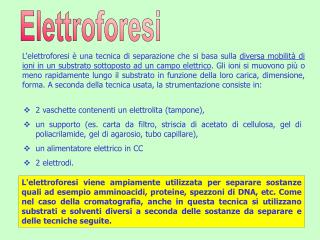 2 vaschette contenenti un elettrolita (tampone),