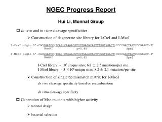 NGEC Progress Report Hui Li, Monnat Group