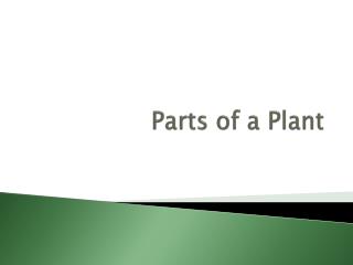 Parts of a Plant